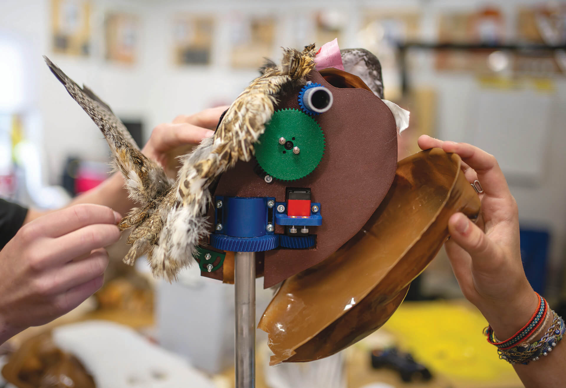 LOCAL LIFE: Hello | Gary Duquette